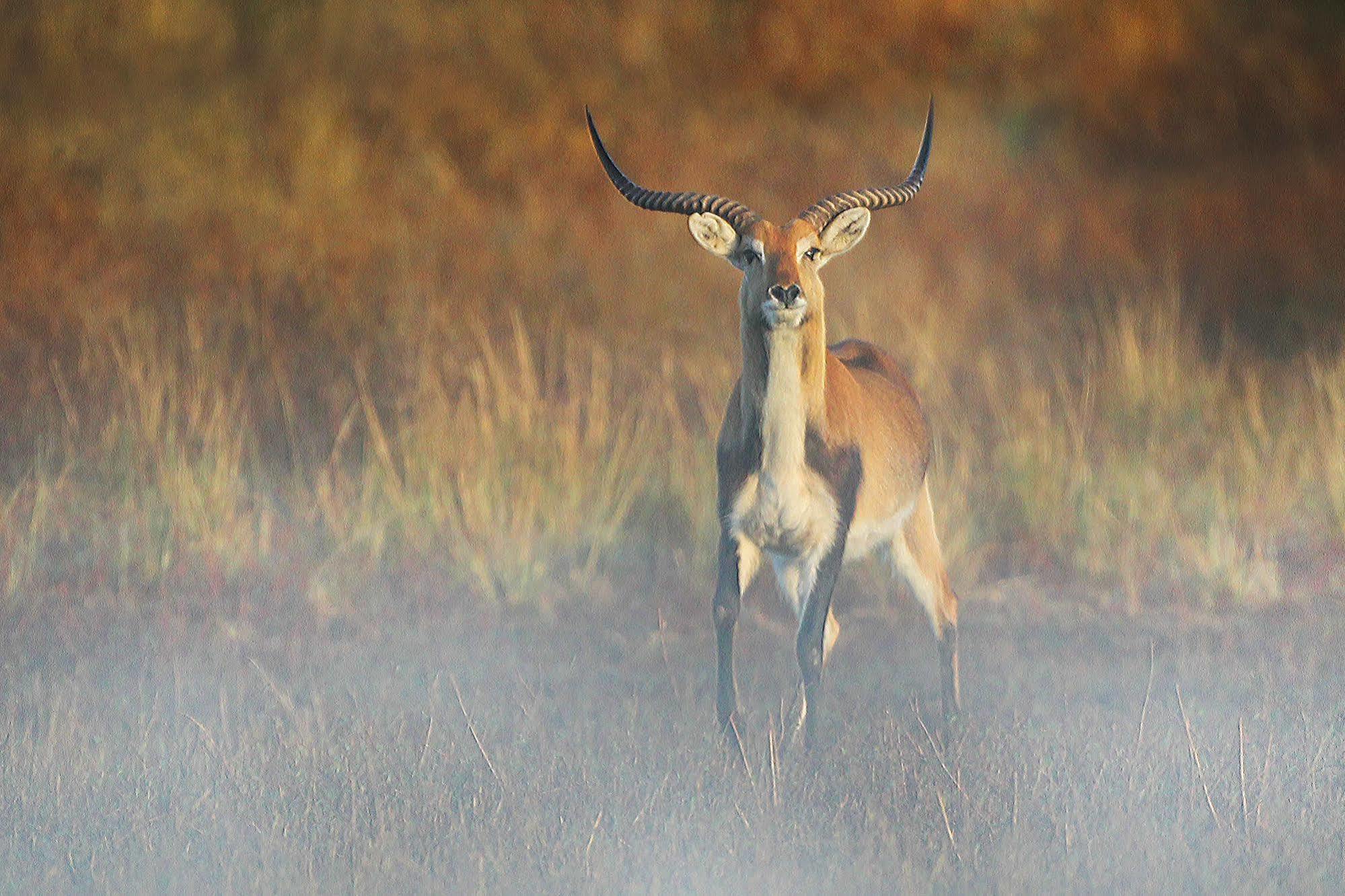 Bona Bona Game Lodge Wolmaranstad Eksteriør bilde