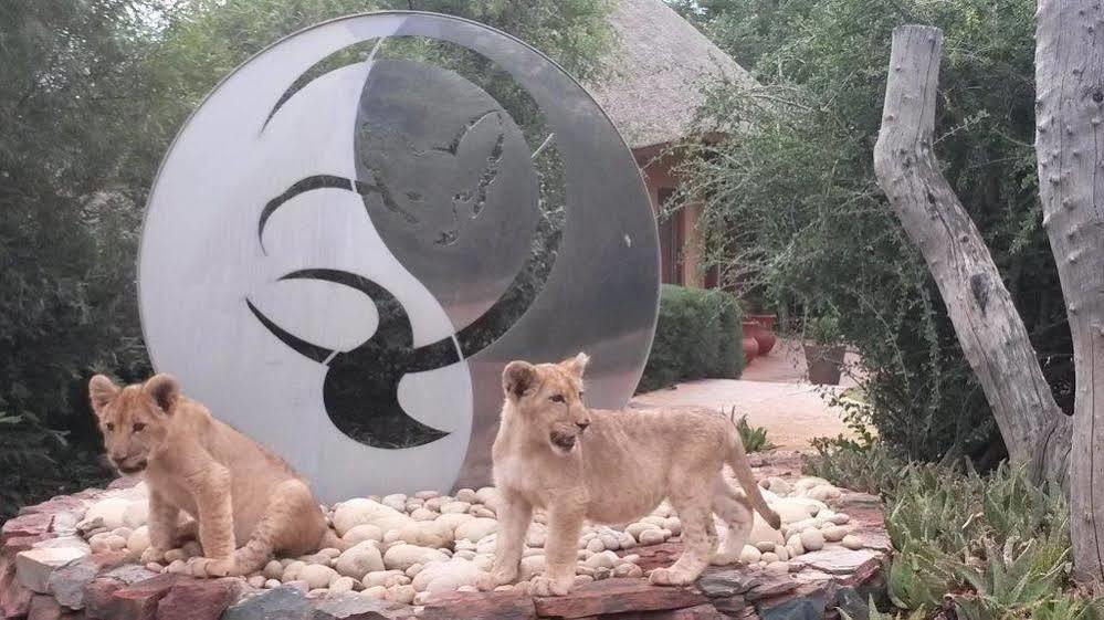 Bona Bona Game Lodge Wolmaranstad Eksteriør bilde